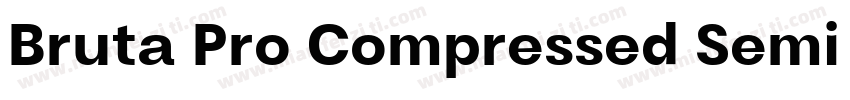 Bruta Pro Compressed Semi Bold字体转换